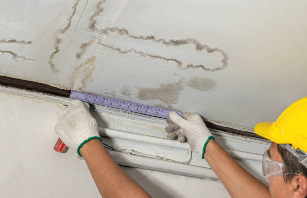Reliable Water Damage contractor in Snyder, OK by Water Damage Irwin